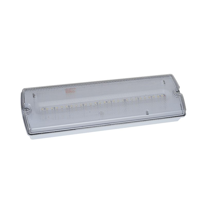 Noodverlichting Pan - 3W - IP65 ( Inclusief Pictogrammen ) - Outledtl.nl