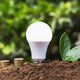 Besparen met LED verlichting – Gebruik onze handige besparingstool!
