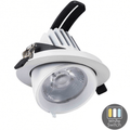 Led Banaanspot 28 watt | Led Downlight 28 watt kantelbaar | White Switch - Outledtl.nl 