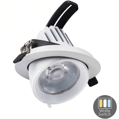 Led Banaanspot 28 watt | Led Downlight 28 watt kantelbaar | White Switch - Outledtl.nl 
