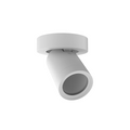 Plafondarmatuur Lexi rond 1x GU10 wit