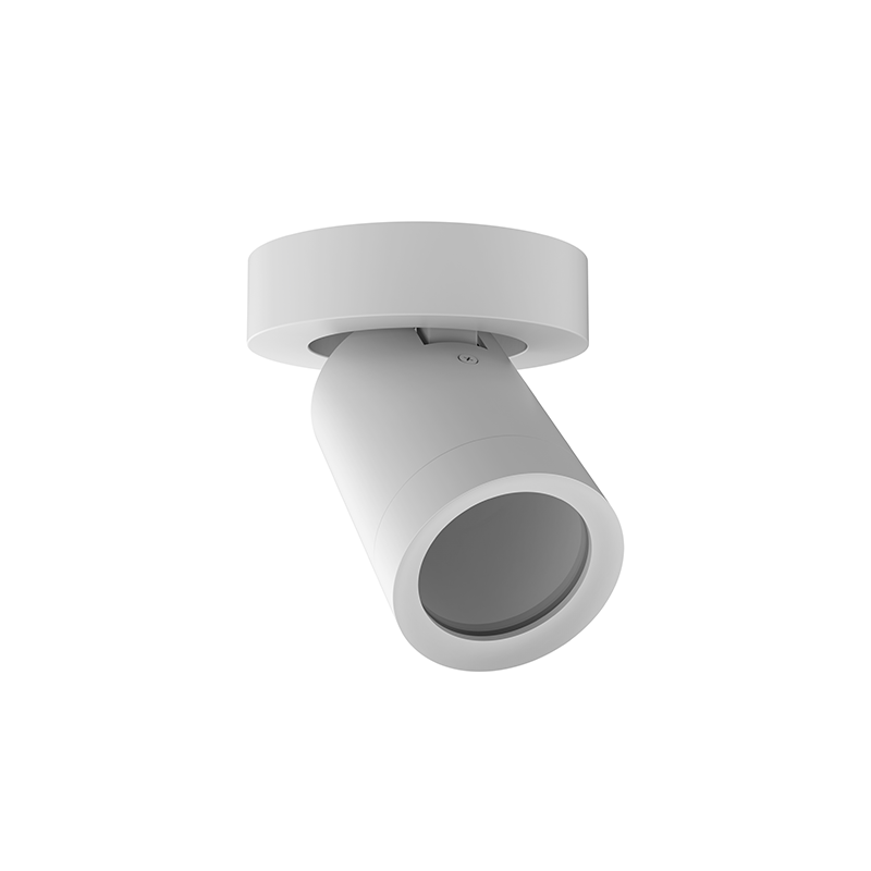 Plafondarmatuur Lexi rond 1x GU10 wit