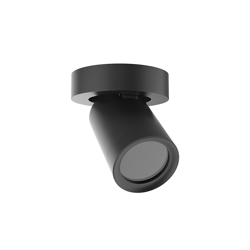 Plafondarmatuur Lexi rond 1x GU10 zwart
