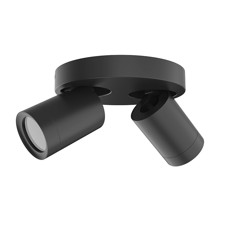 Plafondarmatuur Lexi rond 2x GU10 zwart