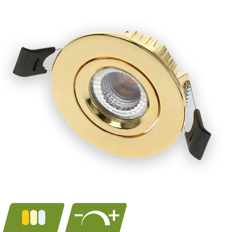 LED Inbouwspot Pollux | 5 watt | Dimbaar | CCT switch | Goud | IP65 | Kantelbaar - Outledtl.nl 
