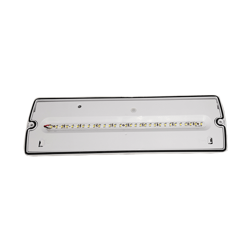Noodverlichting Pan - 3W - IP65  ( Inclusief Pictogrammen  ) - Outledtl.nl 